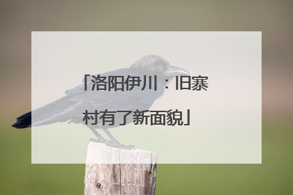洛阳伊川：旧寨村有了新面貌