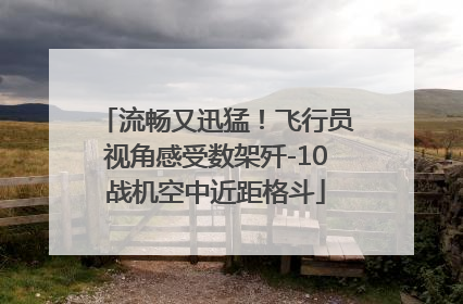 流畅又迅猛！飞行员视角感受数架歼-10战机空中近距格斗