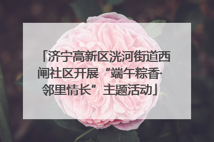 济宁高新区洸河街道西闸社区开展“端午粽香·邻里情长”主题活动