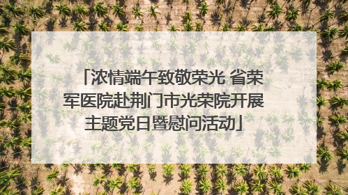 浓情端午致敬荣光 省荣军医院赴荆门市光荣院开展主题党日暨慰问活动