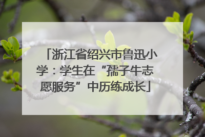 浙江省绍兴市鲁迅小学：学生在“孺子牛志愿服务”中历练成长