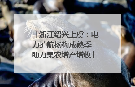 浙江绍兴上虞：电力护航杨梅成熟季 助力果农增产增收