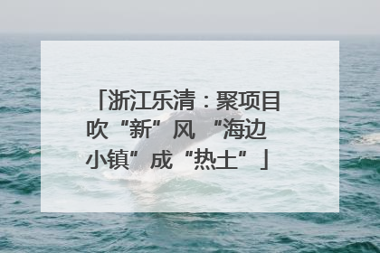 浙江乐清：聚项目吹“新”风 “海边小镇”成“热土”