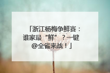 浙江杨梅争鲜赛：谁家最“鲜”？一键@全省来战！