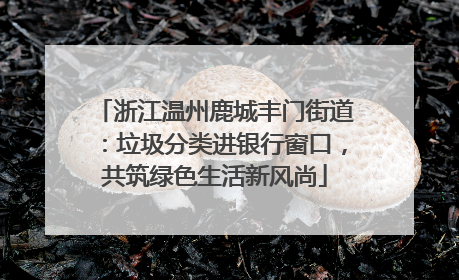 浙江温州鹿城丰门街道：垃圾分类进银行窗口，共筑绿色生活新风尚