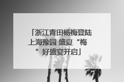 浙江青田杨梅登陆上海豫园 盛夏“梅”好盛宴开启