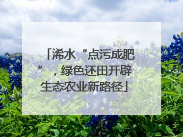 浠水“点污成肥”，绿色还田开辟生态农业新路径