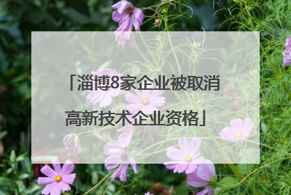 淄博8家企业被取消高新技术企业资格