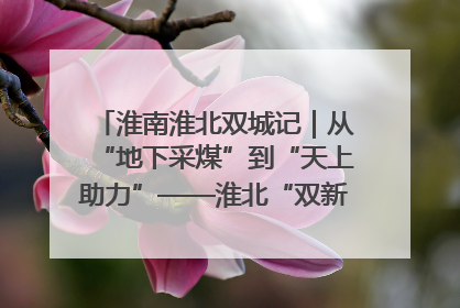 淮南淮北双城记｜从“地下采煤”到“天上助力”——淮北“双新”产业突围记
