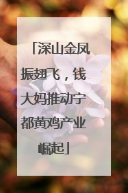 深山金凤振翅飞，钱大妈推动宁都黄鸡产业崛起