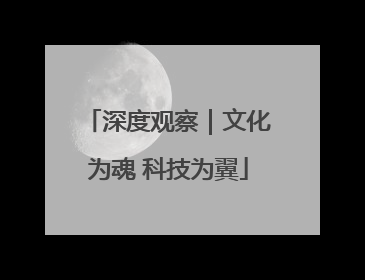 深度观察｜文化为魂 科技为翼