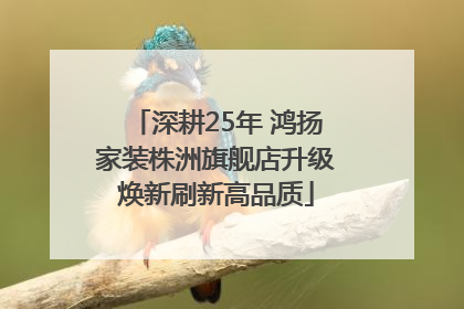 深耕25年 鸿扬家装株洲旗舰店升级焕新刷新高品质