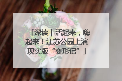 深读｜活起来，嗨起来！江苏公园上演现实版“变形记”