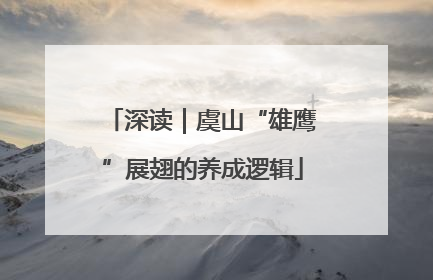 深读｜虞山“雄鹰”展翅的养成逻辑