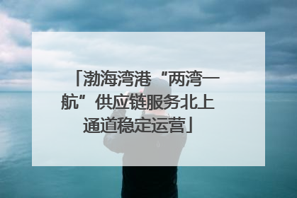 渤海湾港“两湾一航”供应链服务北上通道稳定运营
