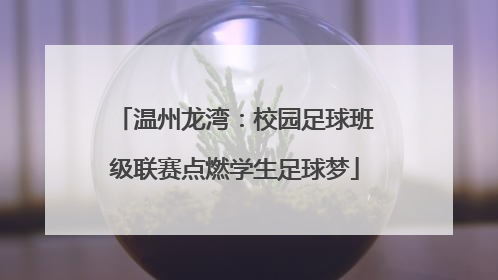 温州龙湾：校园足球班级联赛点燃学生足球梦