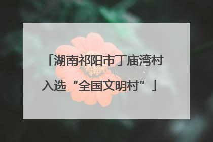 湖南祁阳市丁庙湾村入选“全国文明村”