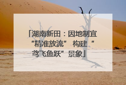 湖南新田：因地制宜“精准放流” 构建“鸢飞鱼跃”景象