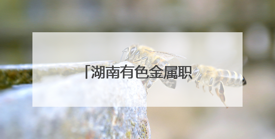 湖南有色金属职院：让红色精神在为民服务中闪耀
