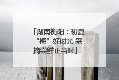 湖南衡阳：初夏“梅”好时光 采摘尝鲜正当时