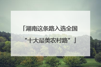 湖南这条路入选全国“十大最美农村路”