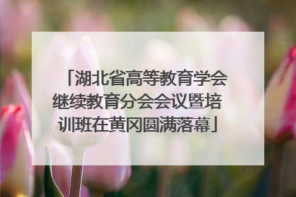 湖北省高等教育学会继续教育分会会议暨培训班在黄冈圆满落幕