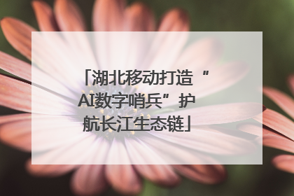 湖北移动打造“AI数字哨兵”护航长江生态链