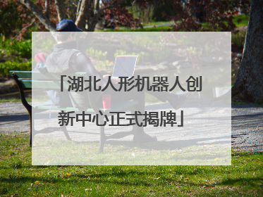 湖北人形机器人创新中心正式揭牌