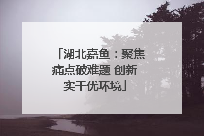湖北嘉鱼：聚焦痛点破难题 创新实干优环境