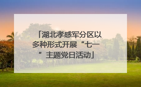 湖北孝感军分区以多种形式开展“七一”主题党日活动