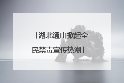 湖北通山掀起全民禁毒宣传热潮