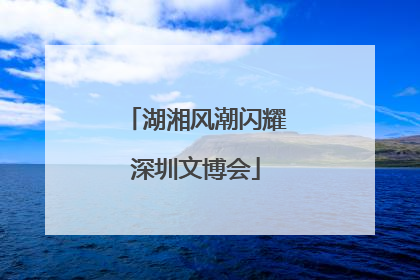 湖湘风潮闪耀深圳文博会
