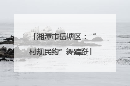 湘潭市岳塘区：“村规民约”舞蹁跹