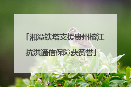 湘潭铁塔支援贵州榕江抗洪通信保障获赞誉