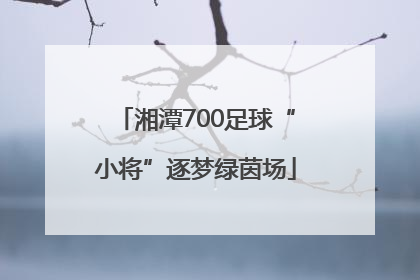 湘潭700足球“小将”逐梦绿茵场