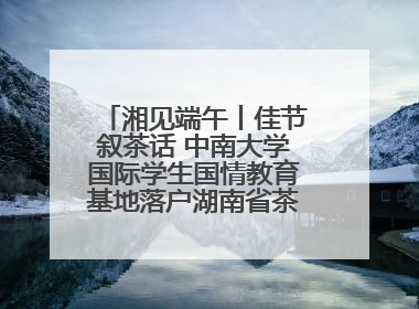 湘见端午丨佳节叙茶话 中南大学国际学生国情教育基地落户湖南省茶叶博物馆