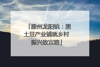 滕州龙阳镇：黑土豆产业铺就乡村振兴致富路