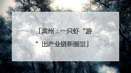 滨州：一只虾“游”出产业链新图景