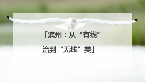 滨州：从“有线”治到“无线”美