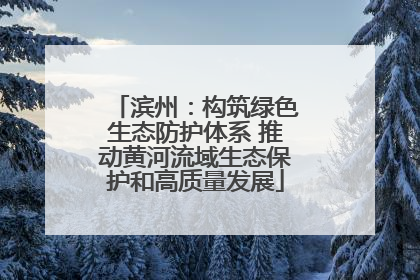 滨州：构筑绿色生态防护体系 推动黄河流域生态保护和高质量发展