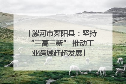 漯河市舞阳县：坚持“三高三新” 推动工业跨域赶超发展