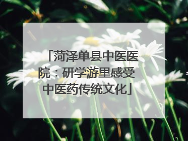 菏泽单县中医医院：研学游里感受中医药传统文化