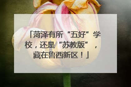 菏泽有所“五好”学校，还是“苏教版”，藏在鲁西新区！