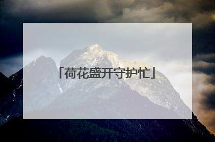 荷花盛开守护忙