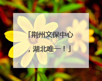 荆州文保中心，湖北唯一！