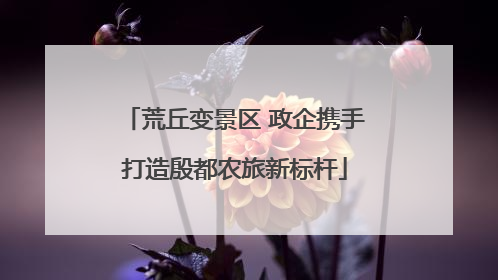 荒丘变景区 政企携手打造殷都农旅新标杆