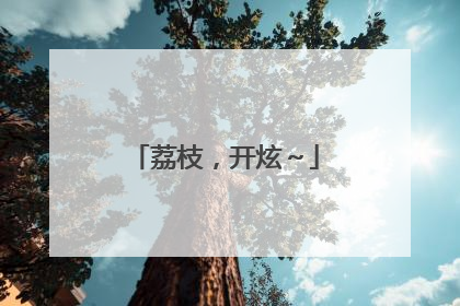 荔枝，开炫～