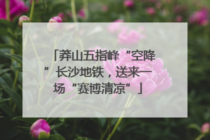 莽山五指峰“空降”长沙地铁，送来一场“赛博清凉”