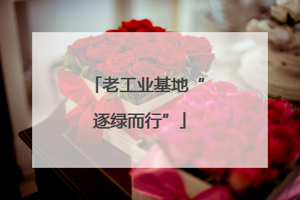 老工业基地“逐绿而行”