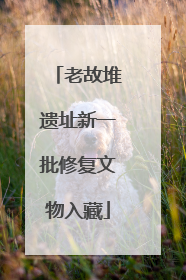 老故堆遗址新一批修复文物入藏